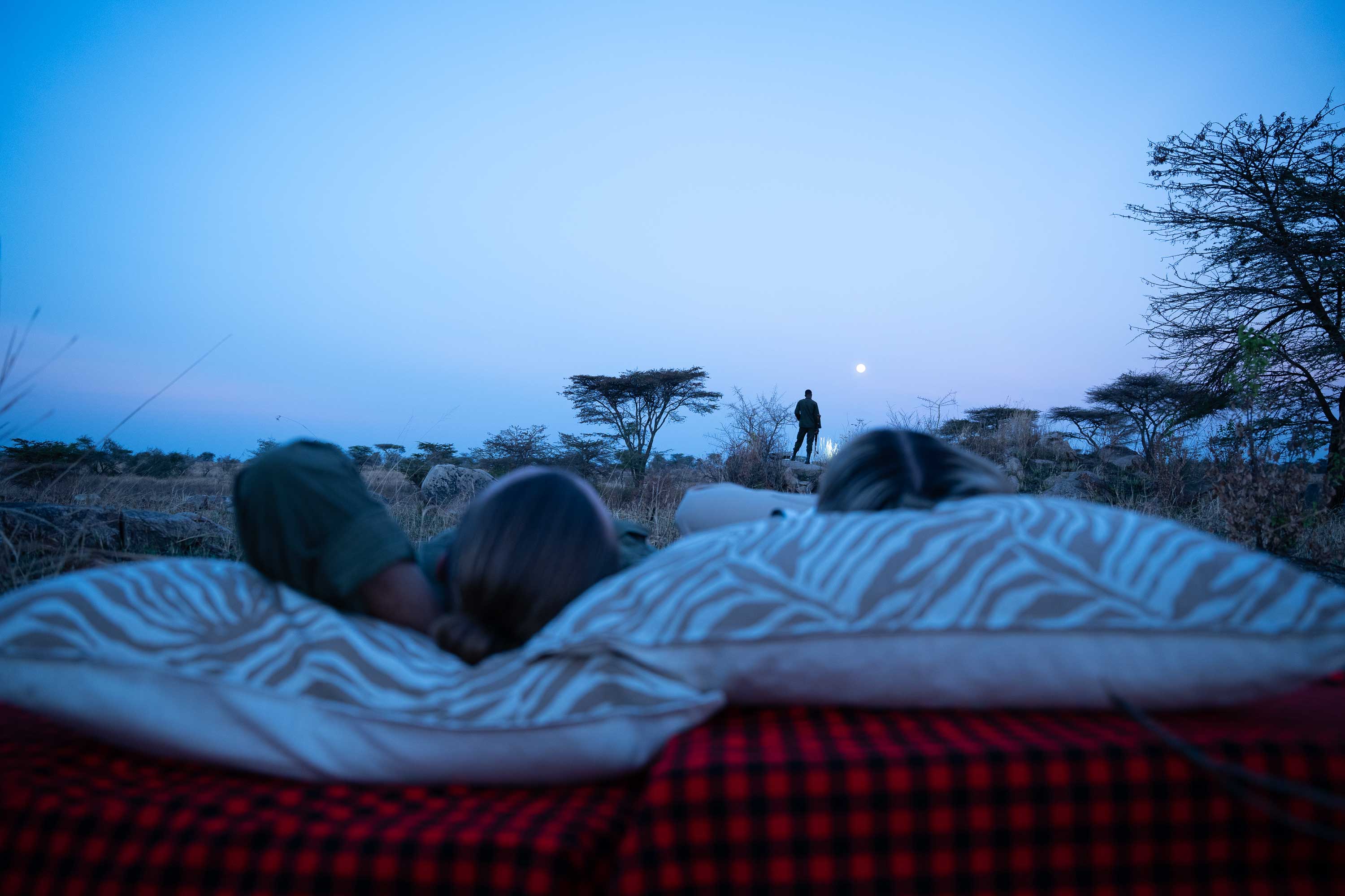Celestial Stargazing